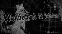 Nexion to Wonderland banner