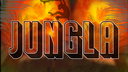 🌴🔥JUNGLA🔥🌴 Banner