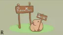 Roam Moon banner