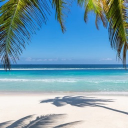 Florida Rendezvous Discord server banner