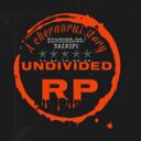 UnDivided DayZ Banner