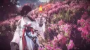 BDO Lunar Halo Inn banner