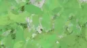 soz banner