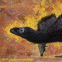 DINO'S Maocel Self Improvement Club Discord server banner