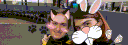 banner