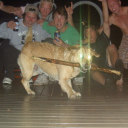 Crusty Crusaders Discord server banner