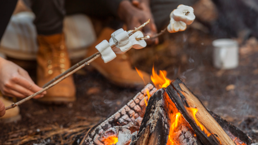 The Campfire🏕 Discord server banner