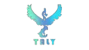 TALY ORGANIZATION banner