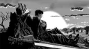 wonder. banner
