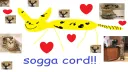 soggacord banner