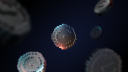 Creditcoin Discord server banner