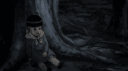 /kedi banner