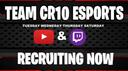 Team CR10 Esports Fortnite Customs Scrims Banner
