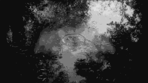 ༒ĆŘ¥ƤŦƗĐ ĆØŇŦΔƗŇΜ€ŇŦ ỮŇƗŦ༒ banner