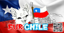 🐾𝓕𝓾𝓻𝓒𝓗𝓘𝓛𝓔🇨🇱 Banner