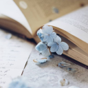 secret library Discord server banner