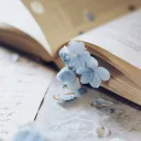 secret library Discord server banner