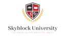 Skyblock University banner