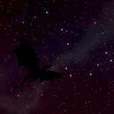Polaris  Banner