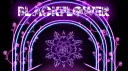 ❖⁎𝓣𝓱𝓮 𝓑𝓵𝓪𝓬𝓴 𝓕𝓵𝓸𝔀𝓮𝓻⁎❖ banner