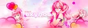 Exynos#5120 banner