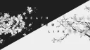 SH4DOW G4NG banner