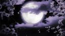 Lune | Social & Anime Banner