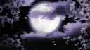 Lune🌙 | Social & Anime Discord server banner