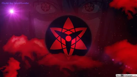 WhyNot banner