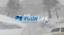 Play Your Life V2 banner