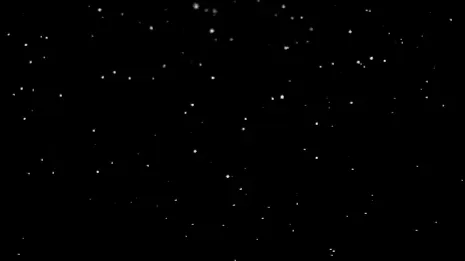 W D banner