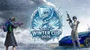 DTS banner