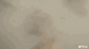 Feiniarmy von Erbschlechter banner
