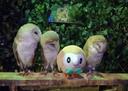 ┊︰꒰ Mudkip's Pond ꒱・ ₊˚  Banner