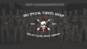 3rd SFG, 2nd Bn, B Co. banner