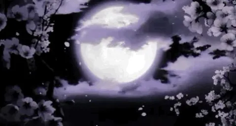 5AM Community banner
