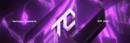 Tactical E-Sports™ server banner