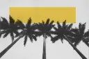1817 CALI banner