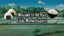 Rice Fields banner