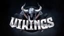 Vikings Banner