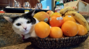 r/nagpur Discord server banner