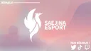 𝗦𝗔𝗘𝗝𝗜𝗡𝗔 𝗘𝗦𝗣𝗢𝗥𝗧 banner