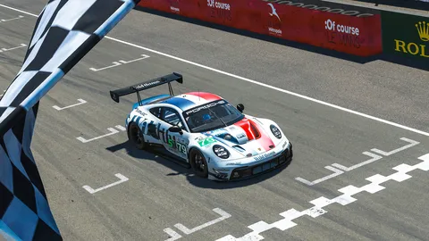 Wild things Racing banner