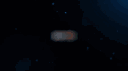BRIGHT FOX Discord server banner