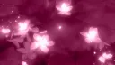 The United Nations ✨ server banner