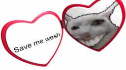 Wesh World server banner