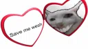 Wesh World Discord server banner
