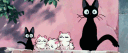 ਹʜɪɴ's ᴄᴀᴛ ᴄᴀғᴇ 🐈 banner