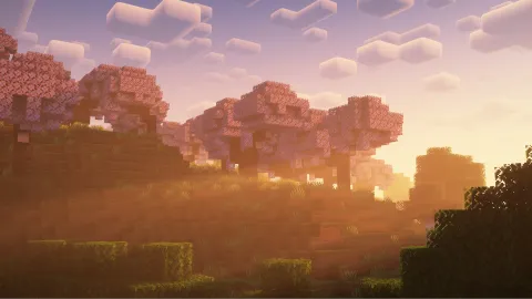 The Iris Project banner