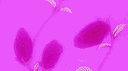𝑵𝒂𝒗𝒓é || 𝑮𝒊𝒇𝒔 & 𝑰𝒄𝒐𝒏𝒔 banner